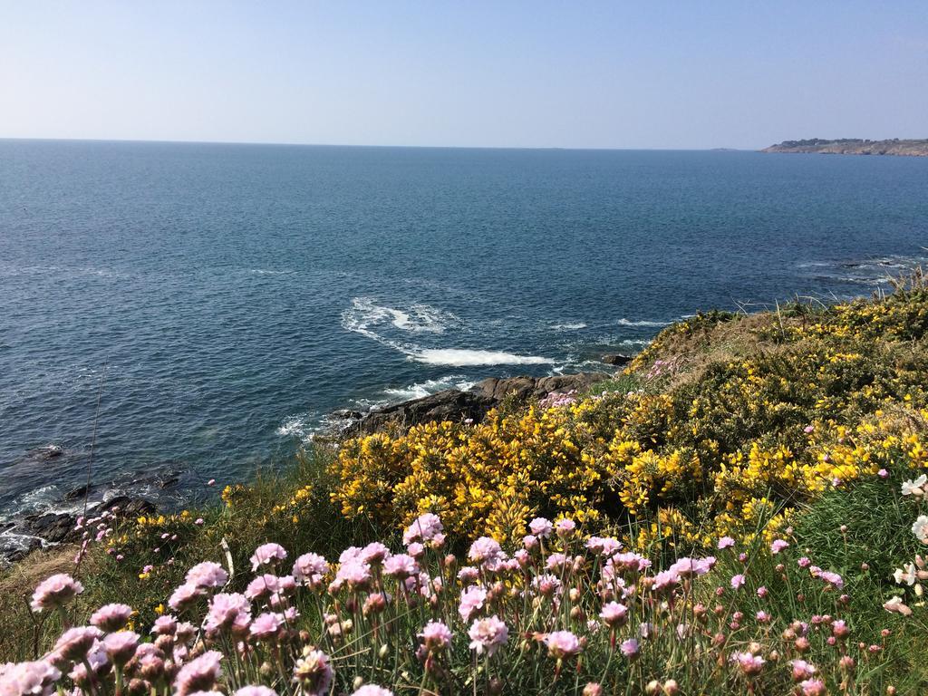 Bed and Breakfast La Belle Relax - Calme Et Tranquillite Assures - 2 Personnes Moëlan-sur-Mer Exterior foto