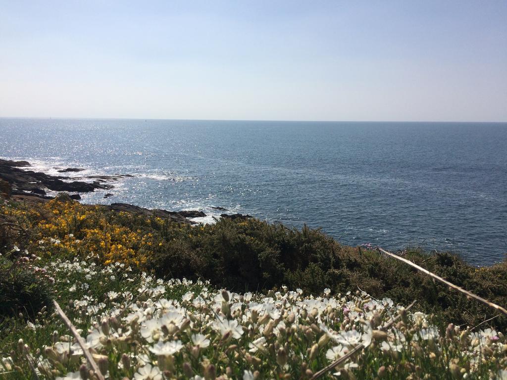 Bed and Breakfast La Belle Relax - Calme Et Tranquillite Assures - 2 Personnes Moëlan-sur-Mer Exterior foto